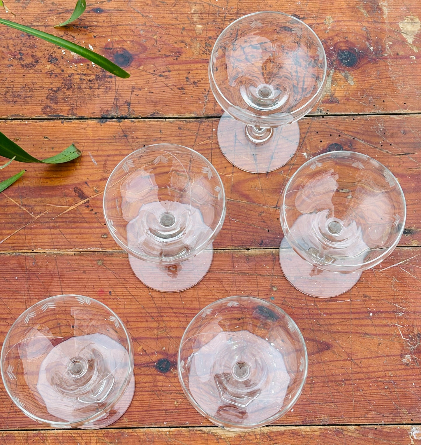 Franske champagneskåle