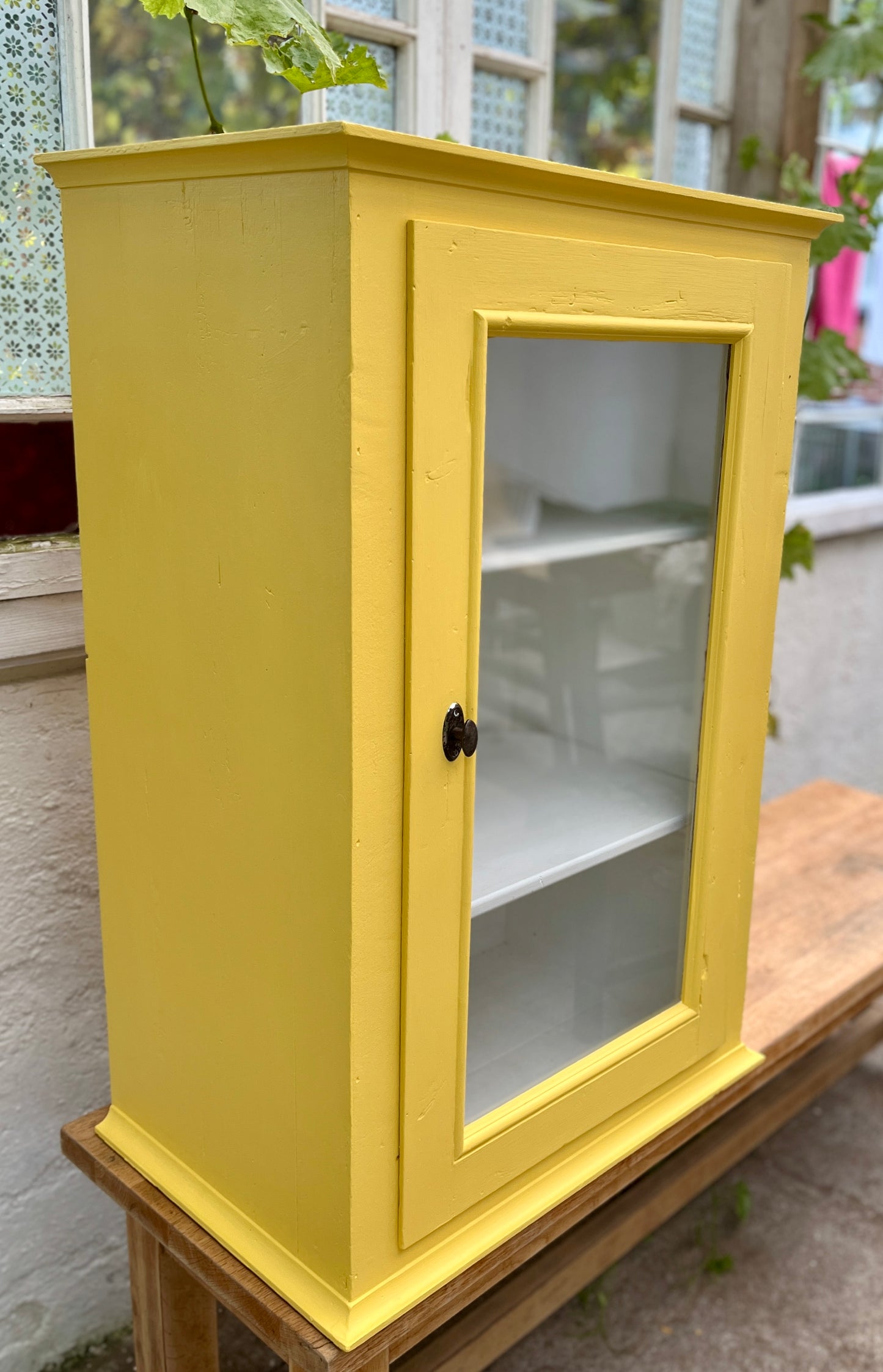 Gul vitrine