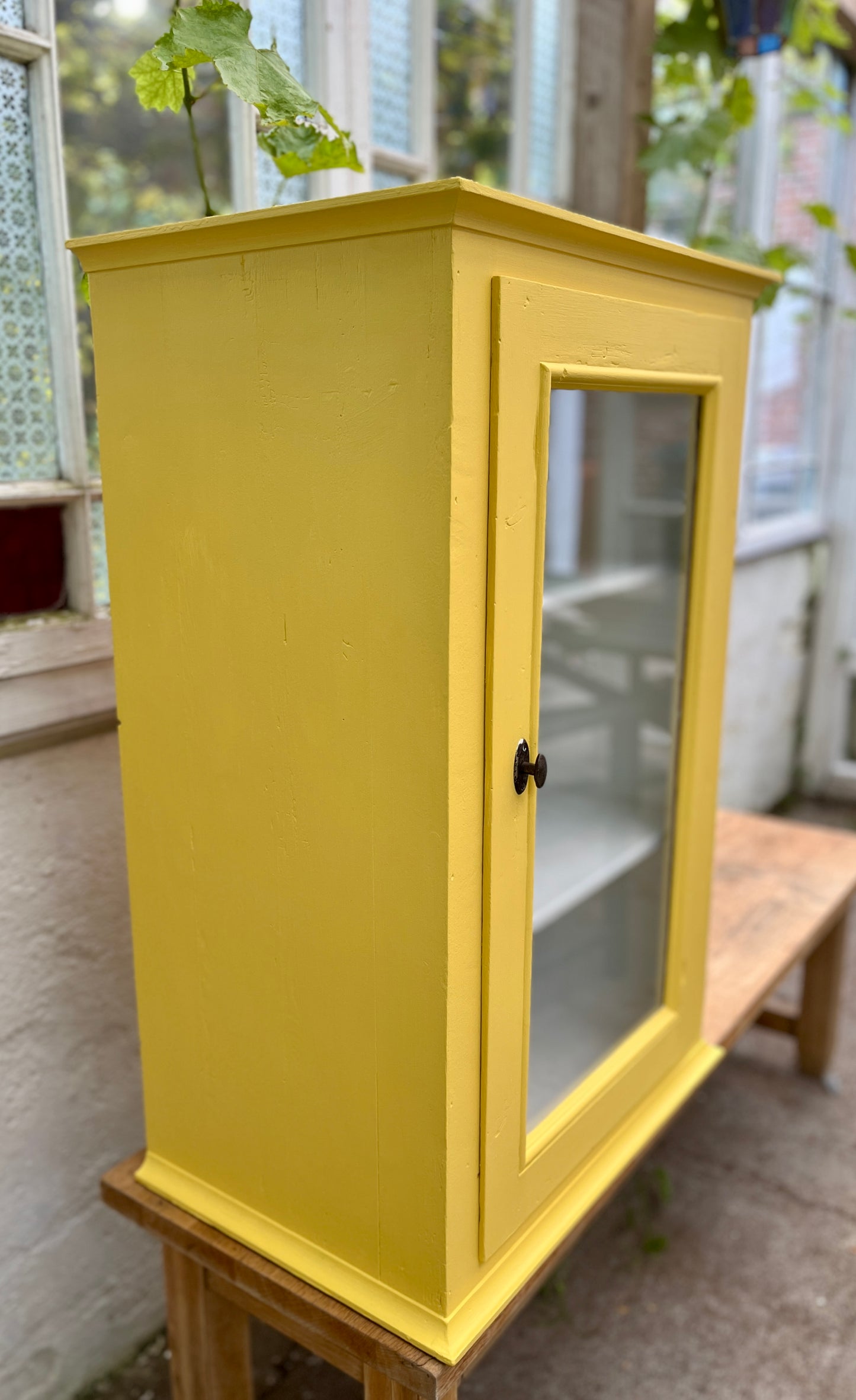 Gul vitrine