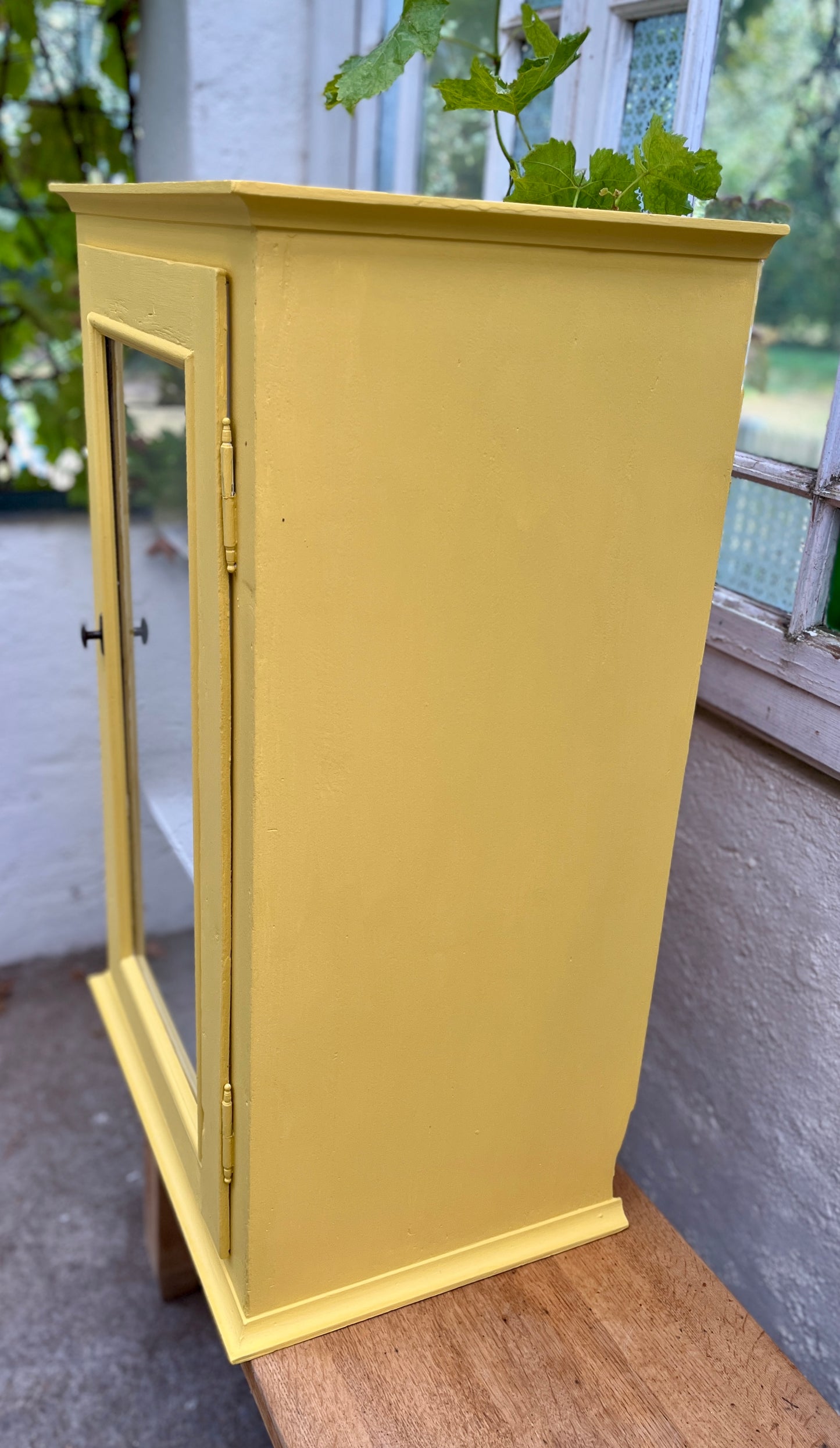 Gul vitrine