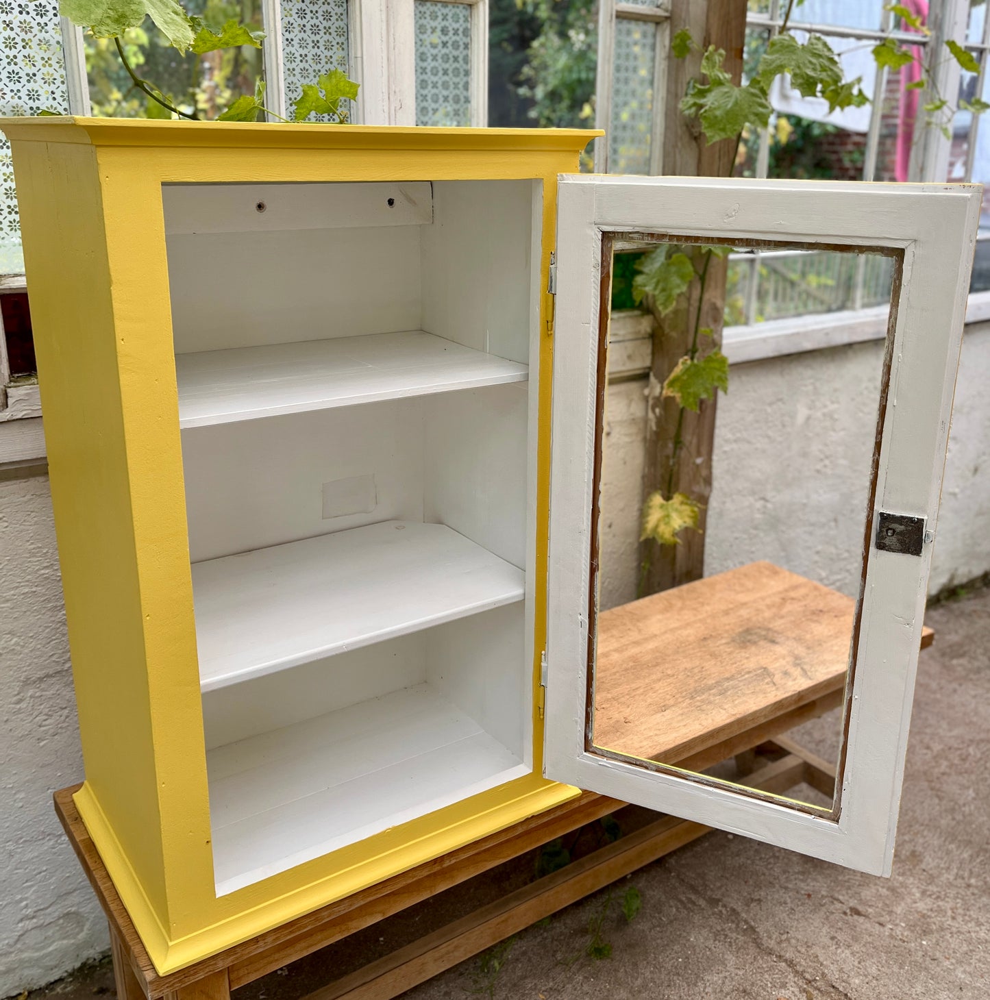 Gul vitrine