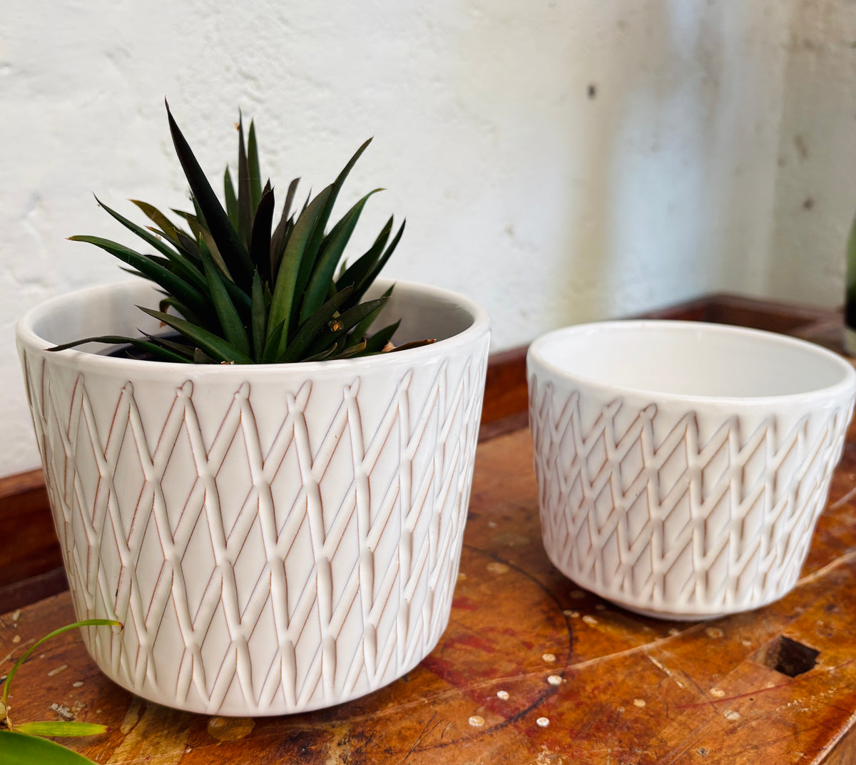Løvemose Keramik flower pot covers in white stoneware