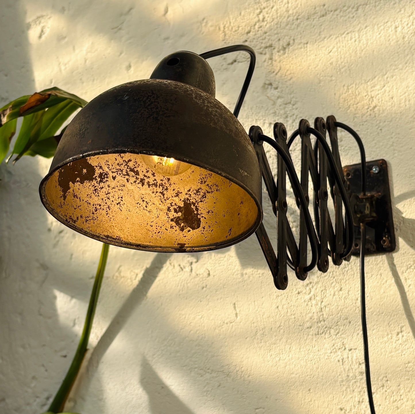CHRISTIAN DELL – KAISER IDELL