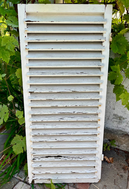 Gammel skodde i træ