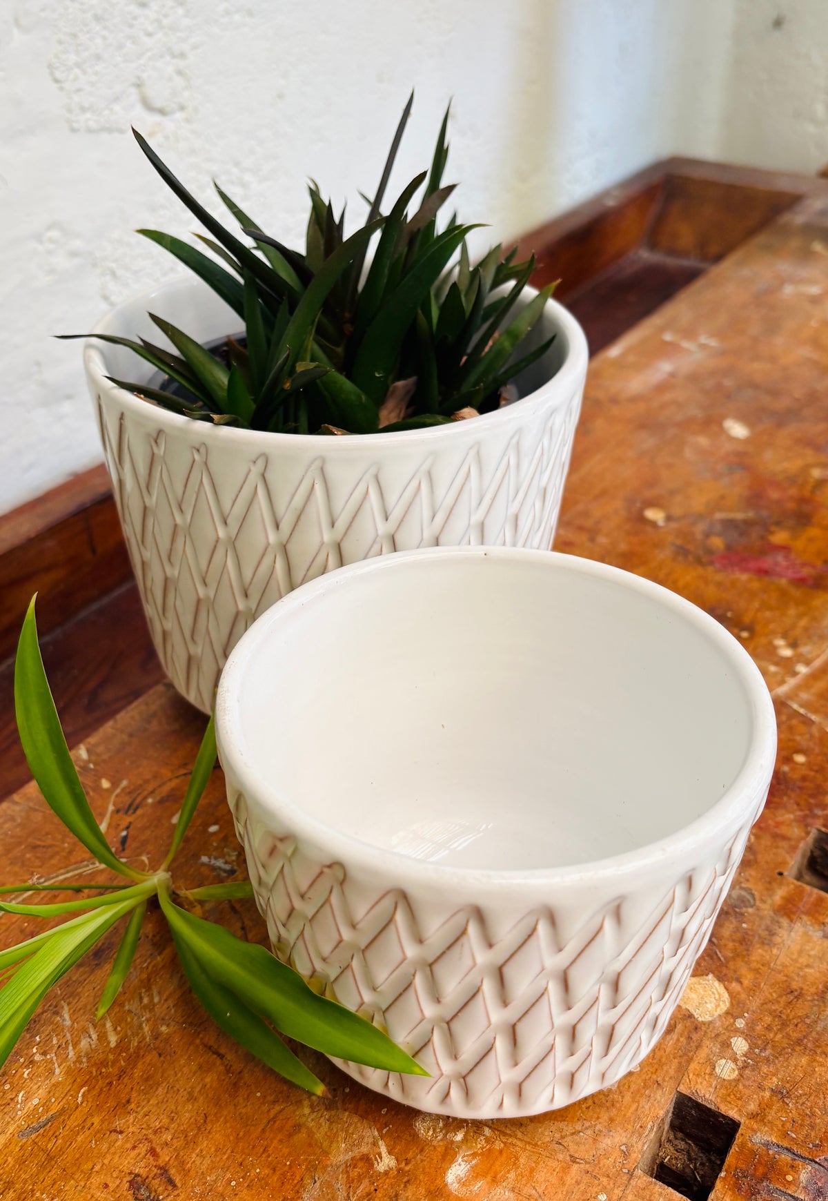Løvemose Keramik flower pot covers in white stoneware