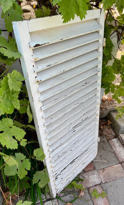 Gammel skodde i træ