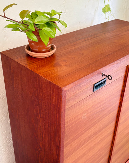 Dobbelt jalousiskab i teak