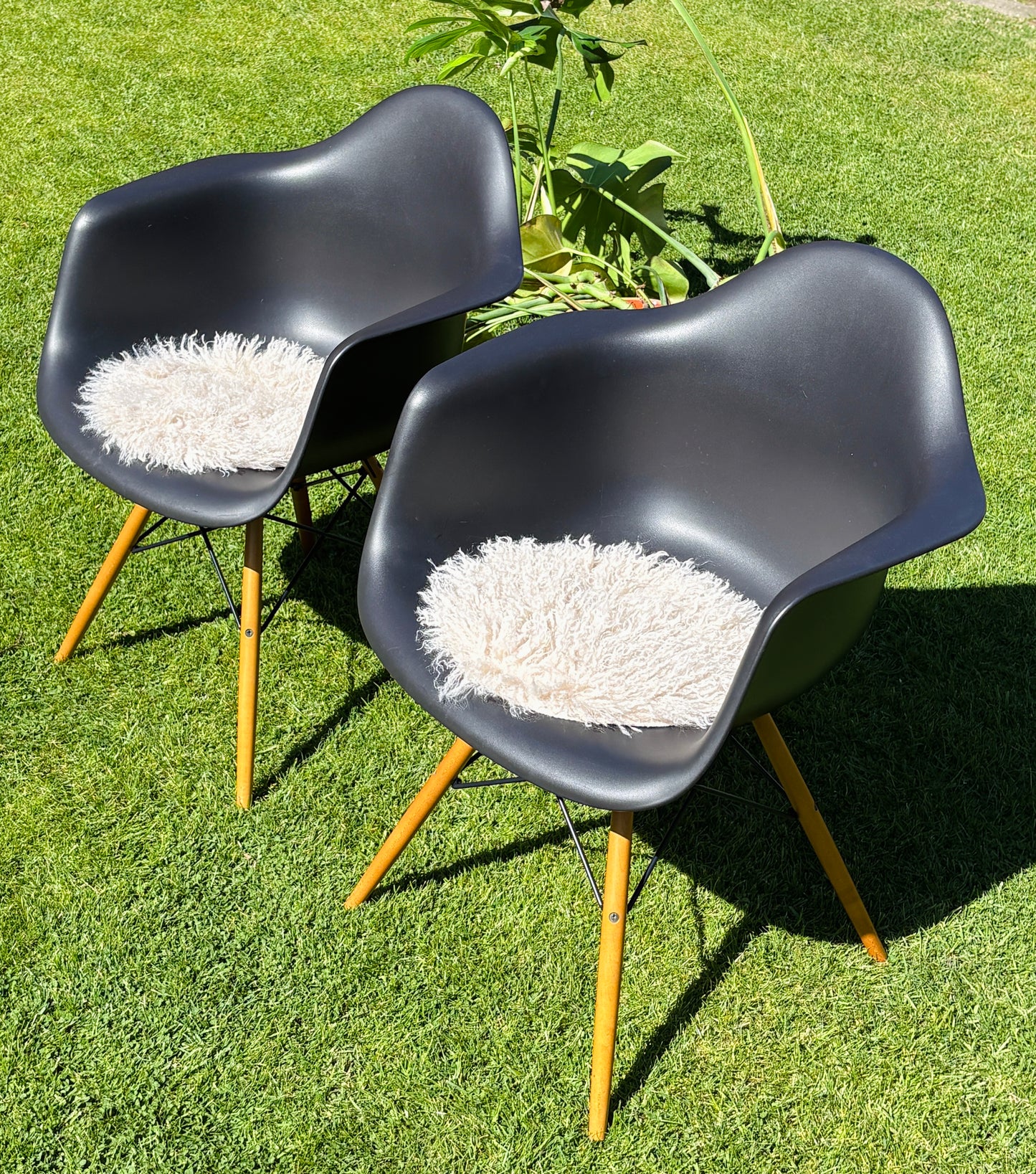 Eames Plastic Armchair DAW: Den sorte klassiker