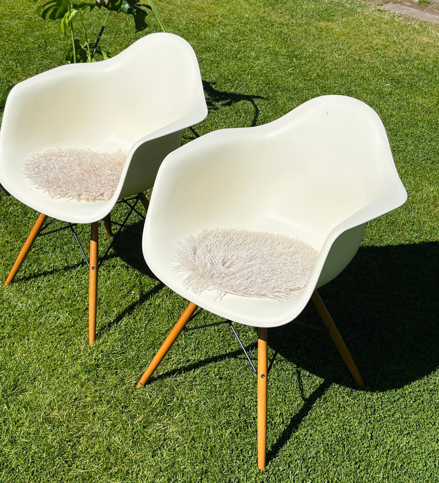 Eames Plastic Armchair DAW: Den hvide klassiker