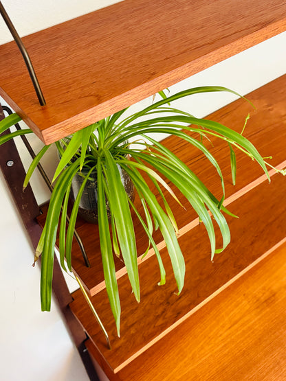 PS reolsystem i teak